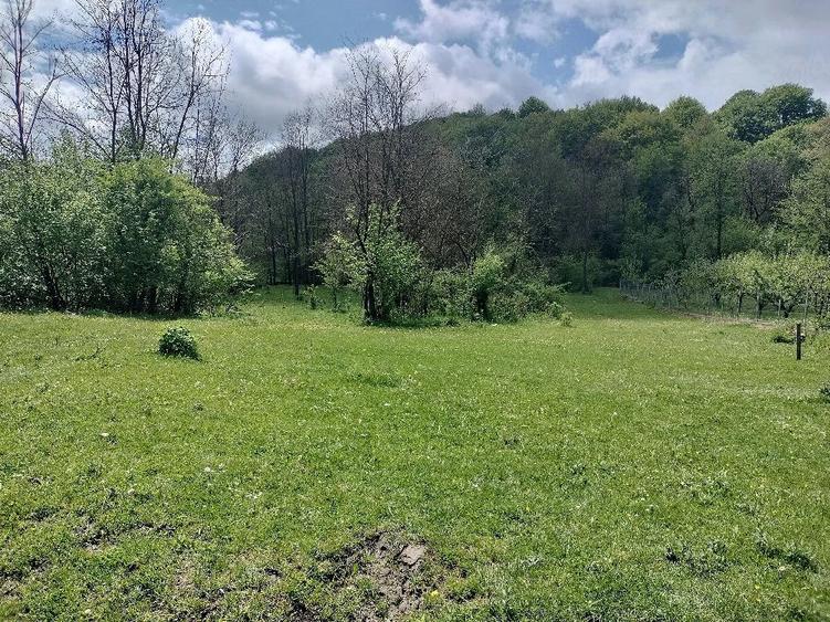 Teren de 2131 mp, în Cosmina de Sus