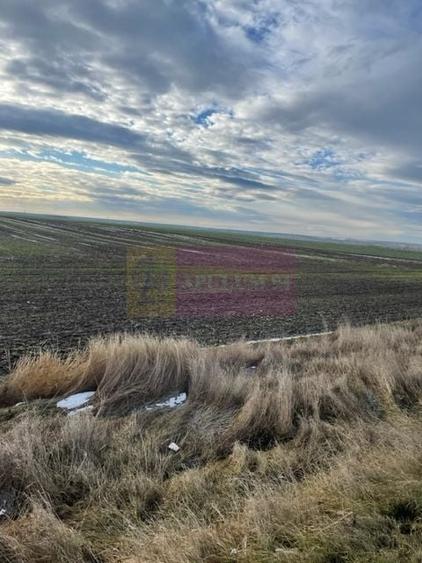 Teren agricol intravilan de 24108 mp, în Sud-Vest