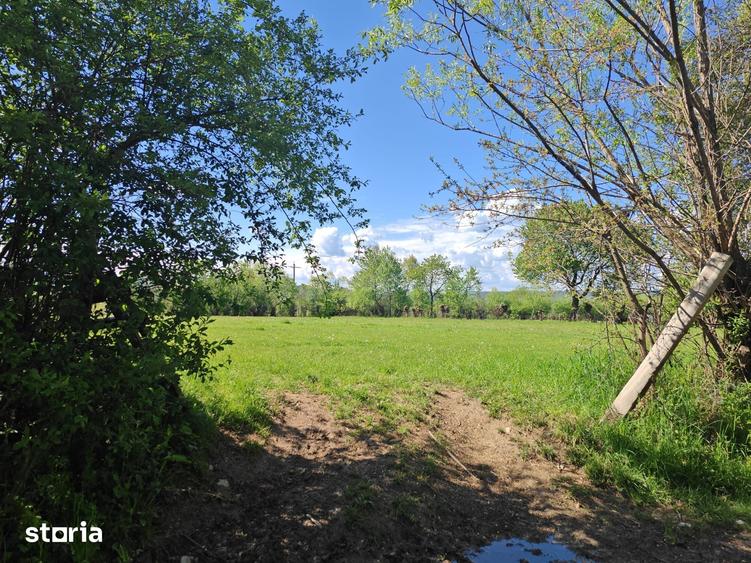 Teren de 5967 mp, în Glăjărie