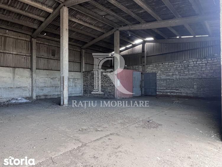 PLATFORMA INDUSTRIALA STRATEGICA IN ORADEA POTEN?IAL OPERATIONAL - 4