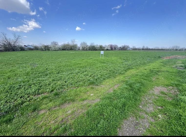 Teren de 1566 mp, în Gorgota
