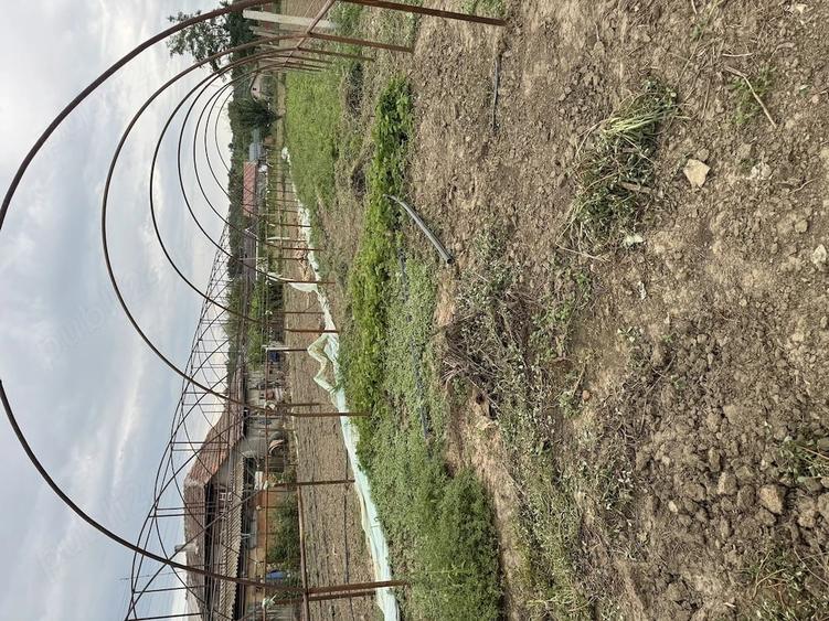 Teren de 1500 mp, în Hotarele