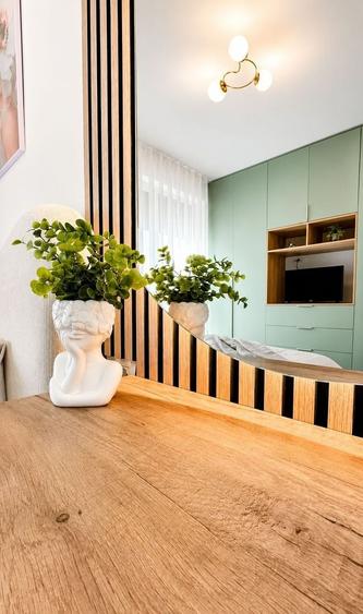 Apartament cu 2 camere decomandat, mobilat în Moșnița Nouă