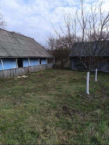 Casă cu Teren 2100 Mp în Orbău