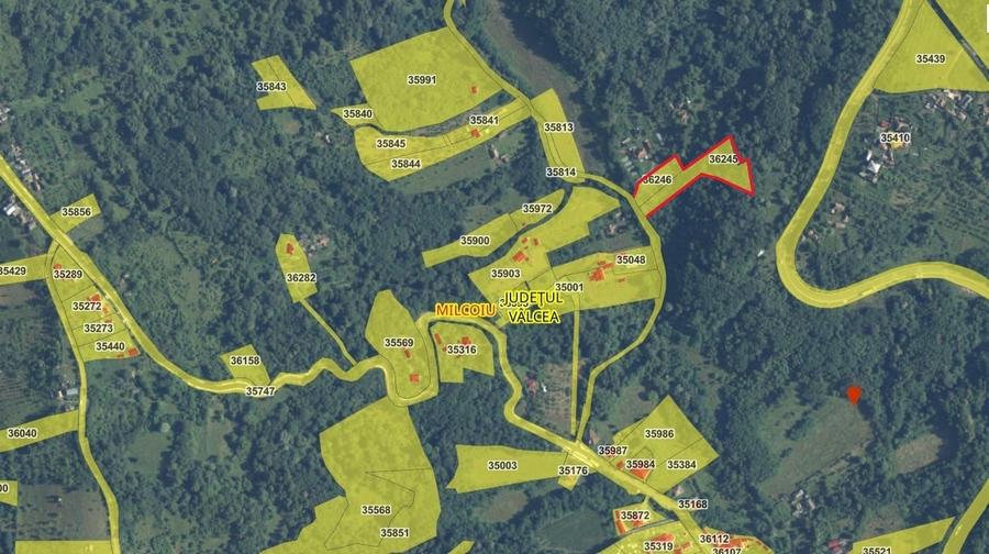 Teren Construcții intravilan de 5057 mp, în Milcoiu