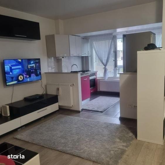 Apartament 1 camera Pacurari 350E - 6