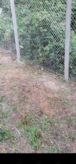 Casă cu 4 camere în Budănești