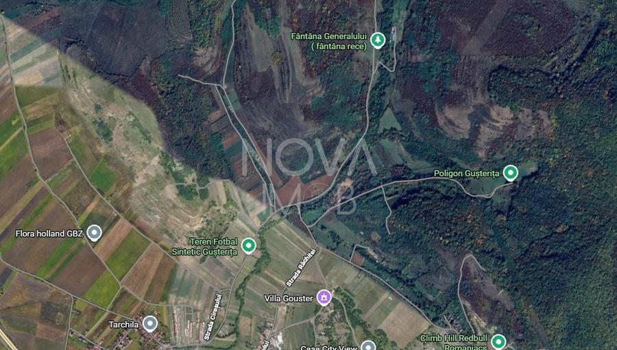 Teren agricol extravilan de 8000 mp, în Gușterița