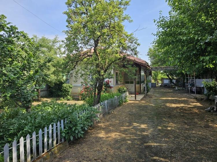Casă individuală cu 3 camere cu Teren 4050 Mp în Valea Dragului
