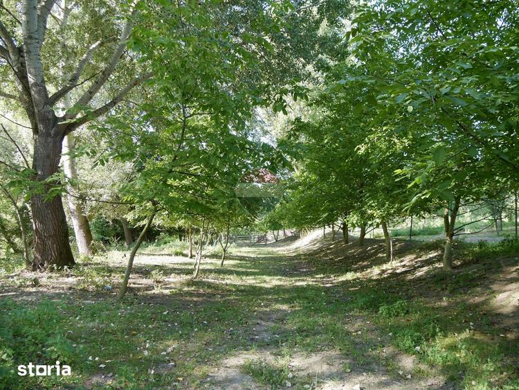 Casă cu 2 camere cu Teren 3003 Mp în Vințu de Jos
