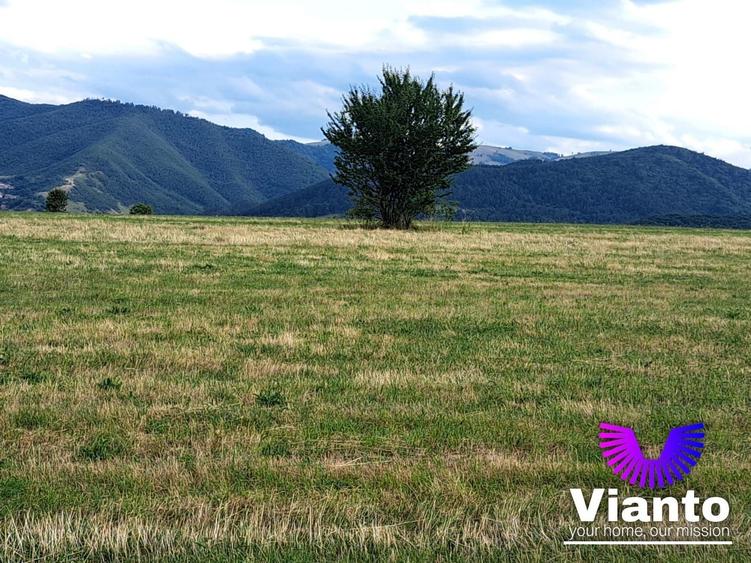 Teren agricol extravilan de 6200 mp, în Rășinari