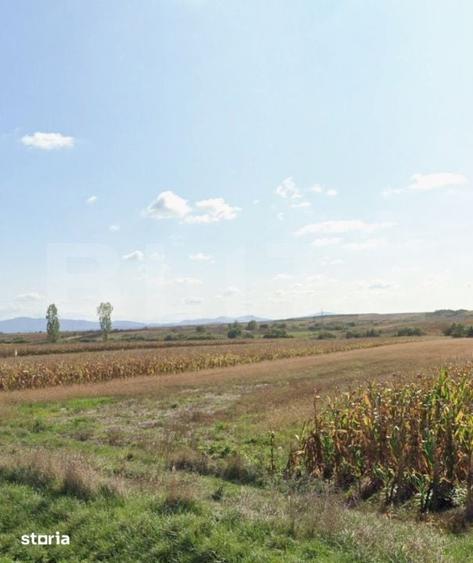 Teren de 6700 mp, în Pericei