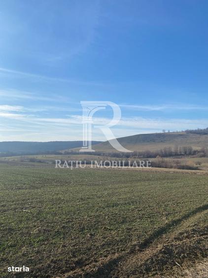 Teren de 3900 mp, în Hidiș