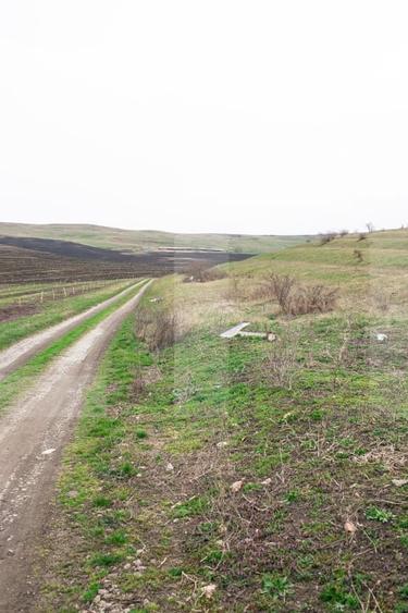 Teren Construcții intravilan de 5800 mp, în Câmpenești