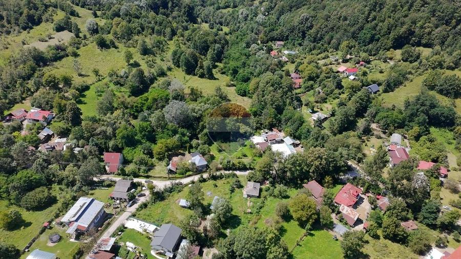 Teren Intravilan 8.277 mp Provița de Jos – Utilități, Râu & Pădure - 22