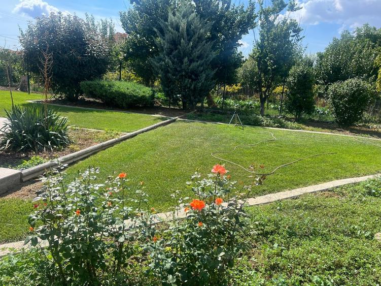 Casă individuală cu 4 camere cu Teren 980 Mp în Mihail Kogălniceanu