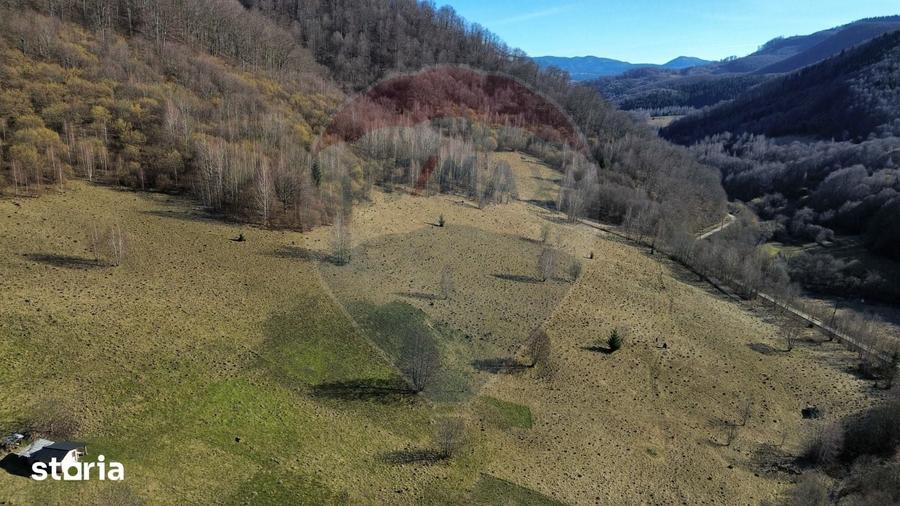 Teren de 16466 mp, în Desești