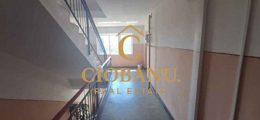 Apartament cu 2 camere decomandat, mobilat în Rovine