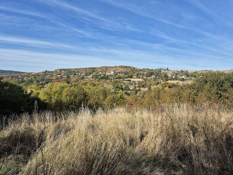Teren Construcții intravilan de 4420 mp, în Vâlcele