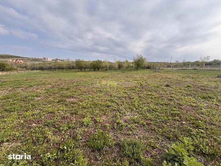 Teren de 793 mp, în Paleu