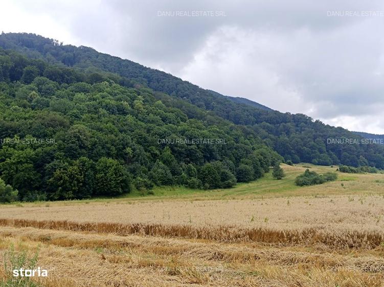 Teren de 16500 mp, în Bartolomeu