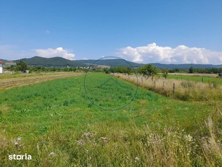 Teren de 2997 mp, în Rusu Bârgăului