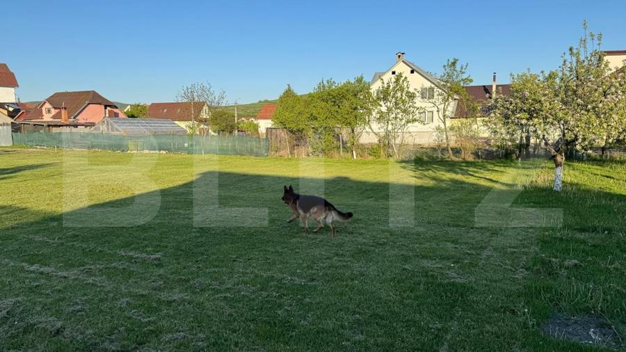 Teren Construcții intravilan de 1500 mp, în Viișoara