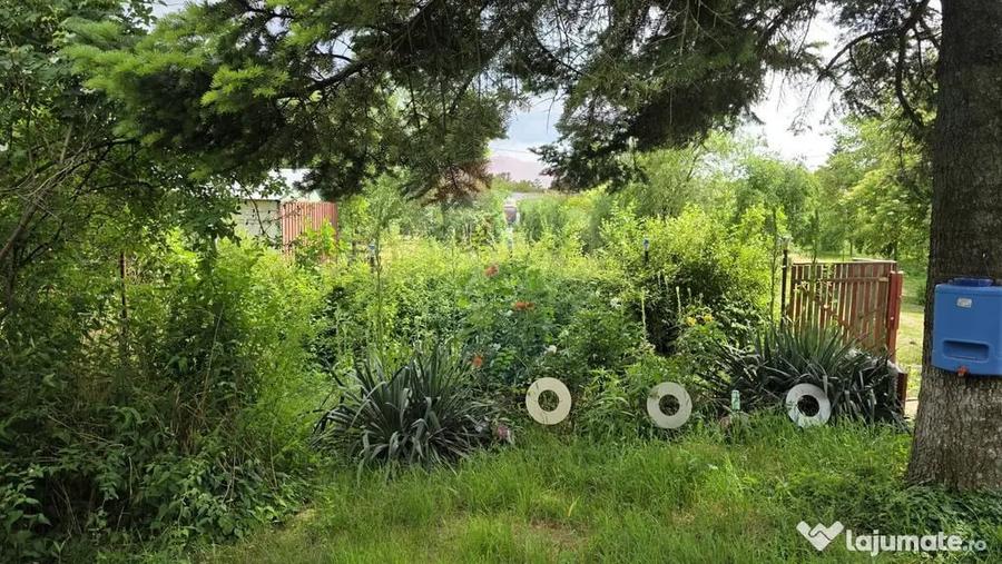 Domeniu rural, gospodarie/multifunctionala cu casa, livad... - 4