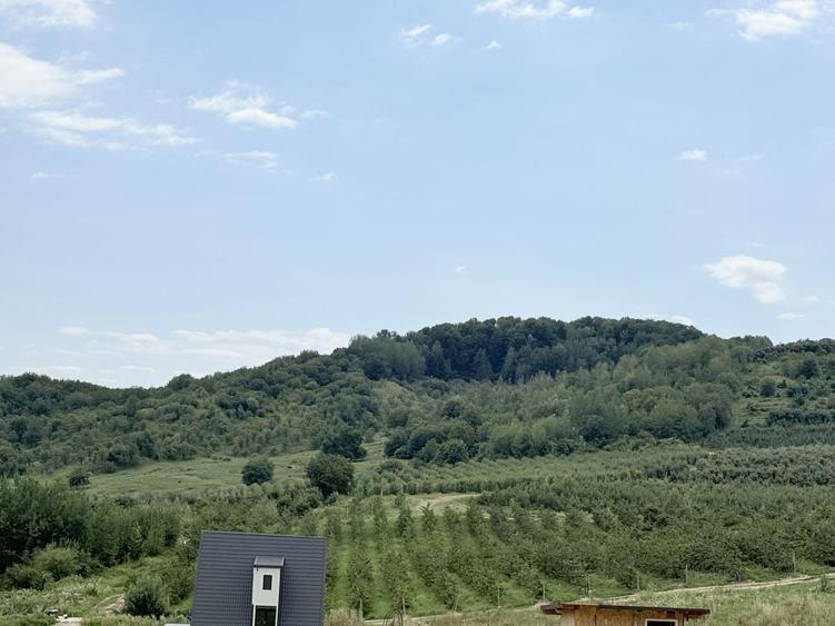 Teren Construcții intravilan de 2721 mp, în Valea Târsei
