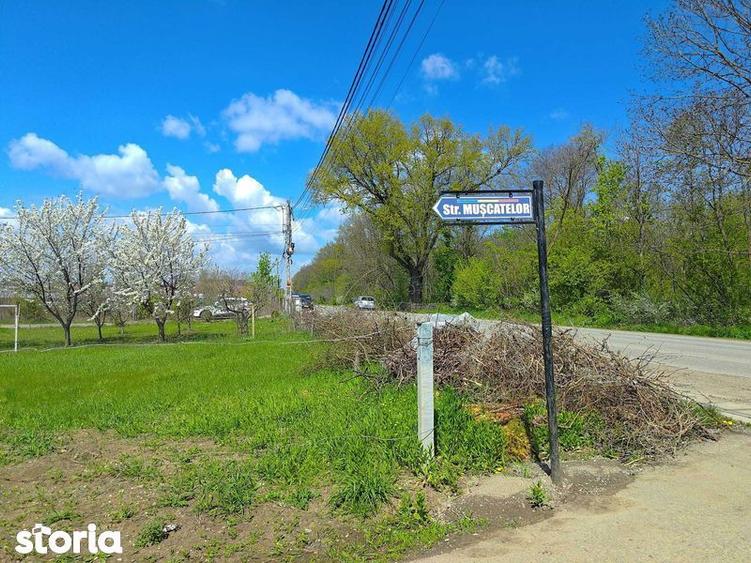 Teren de 512 mp, în Rediu
