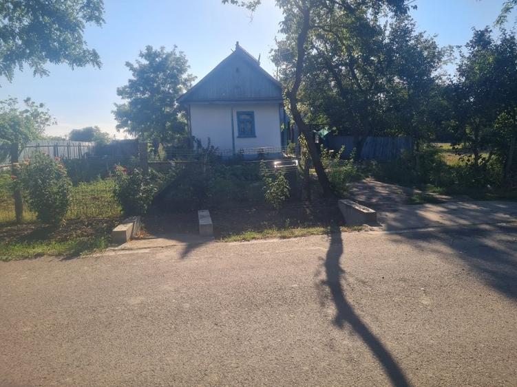 Spațiu comercial, în Pardina