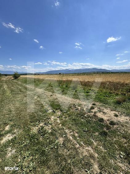 Teren 720 mp Sevis | 23 m front | Oportunitate investitie 24.480 - 6