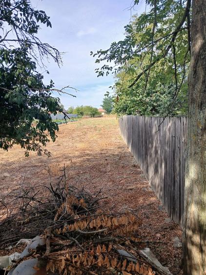 Casă cu Teren 1590 Mp în Strejești