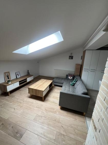 Apartament cu 2 camere semidecomandat, mobilat în Siloz