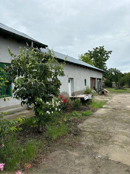 Casă cu Teren 950 Mp în Calomfirești