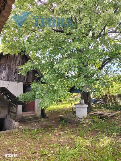 Casa cu teren de 2.300 mp ?i livada in Rade?ti Stalpeni, Arge? - 7