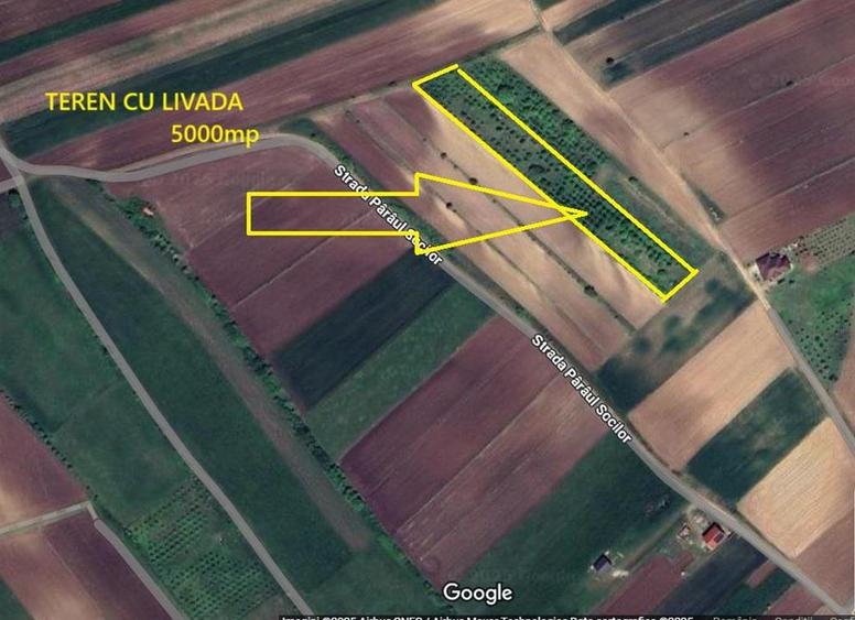 Teren agricol extravilan de 5000 mp, în Șura Mare