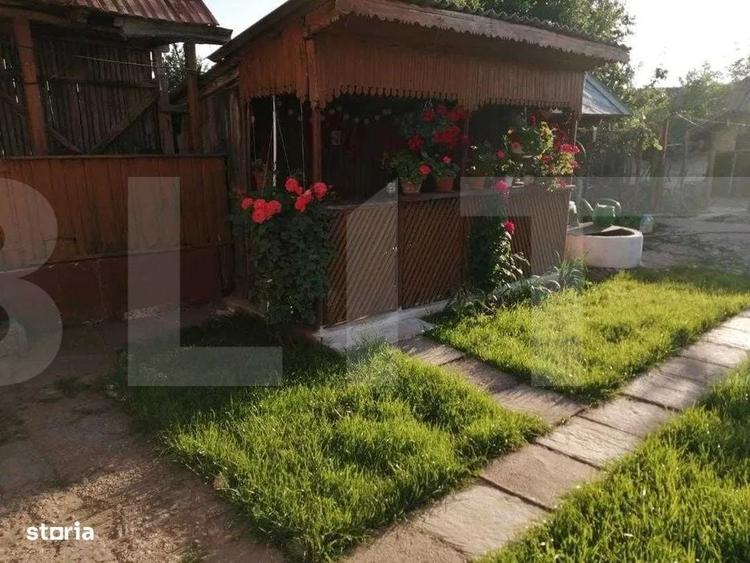 Casa din caramida cu teren urias 6.116 mp Verguleasa (Olt) - 3