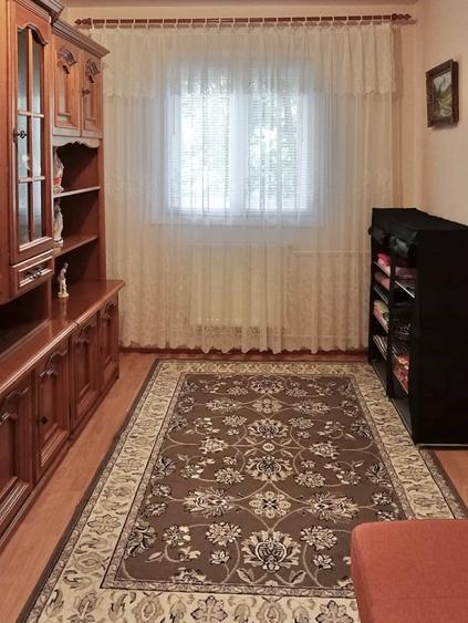 Apartament cu 2 camere nedecomandat, mobilat în Dacia