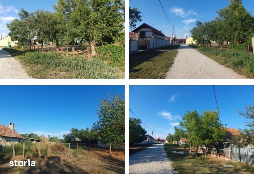 Casă cu 2 camere cu Teren 2338 Mp în Central