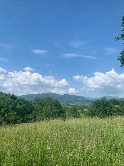 Teren de 6000 mp, în Cetățele