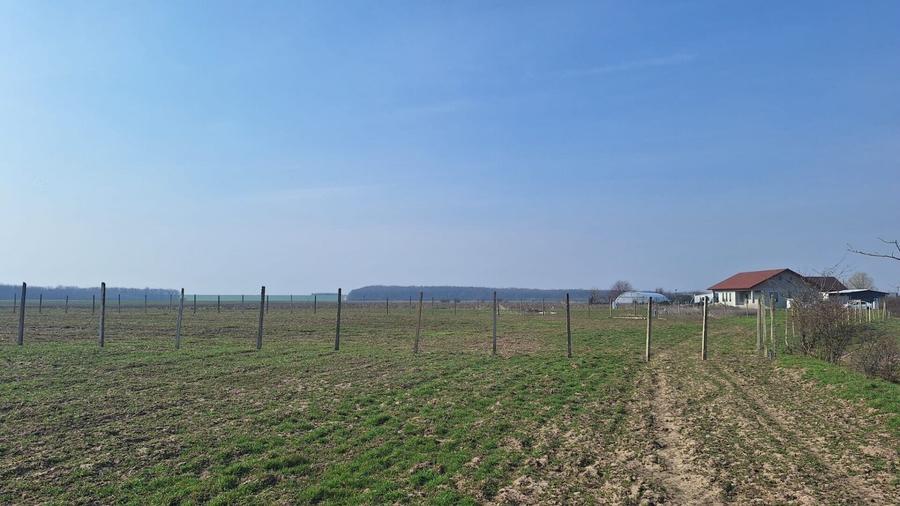 Teren Construcții intravilan de 6650 mp, în Bălăceanca