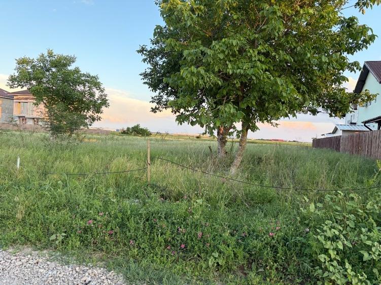 Teren Construcții intravilan de 1500 mp, în Tunari