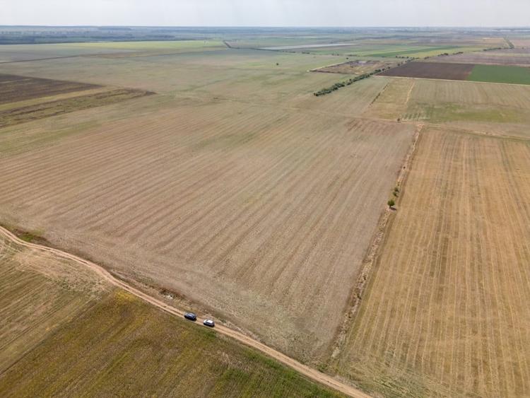 Teren Construcții intravilan de 7500 mp, în Dascălu
