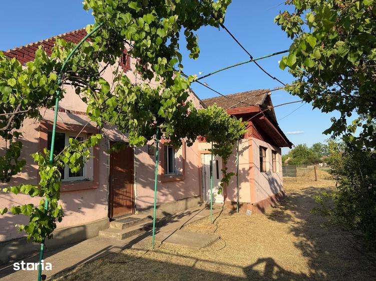 Casa cu gospodarie la Iecea Mare, aproape de Timisoara - 4