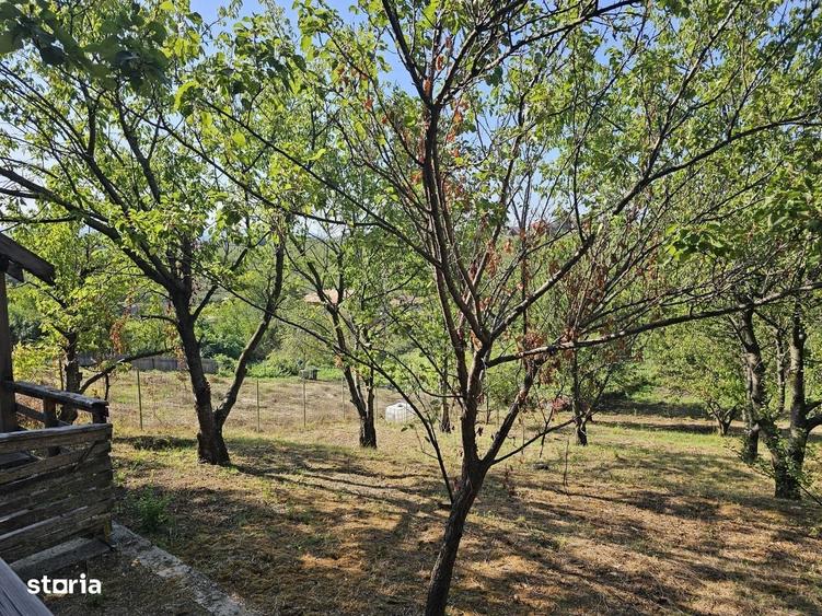 Vila rustica cu teren ca la munte 1291 mp semi central Iasi - 13