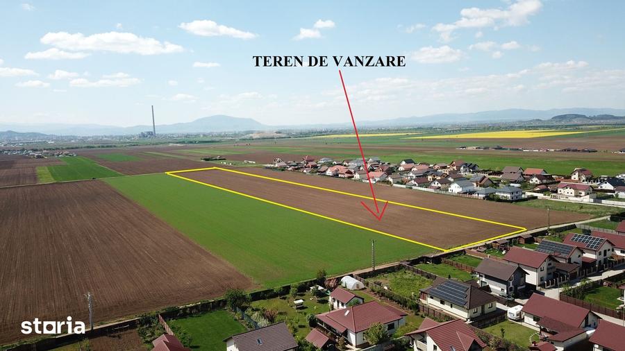 Teren de 29200 mp, în Tărlungeni