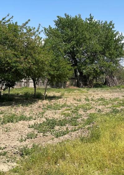 Teren agricol intravilan de 660 mp, în Sud