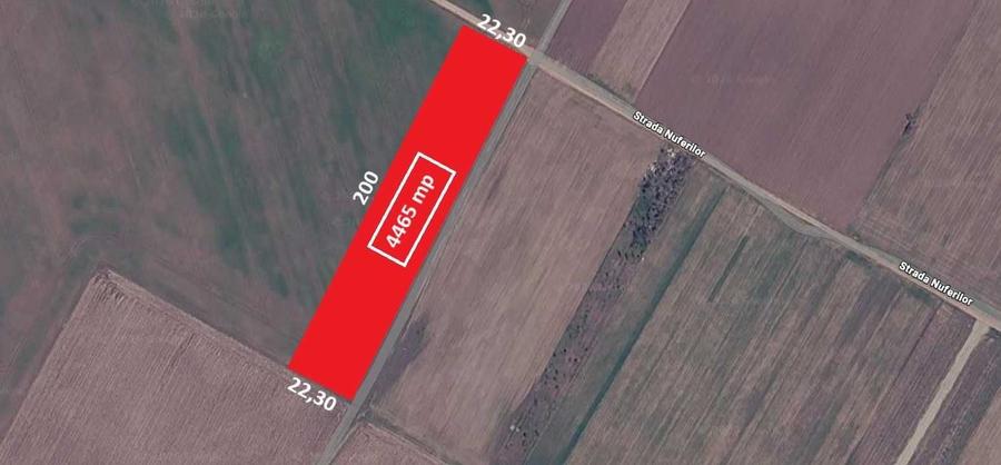 Teren 4465 mp Str. Nuferilor, Vidra - Berceni, Ilfov - 3