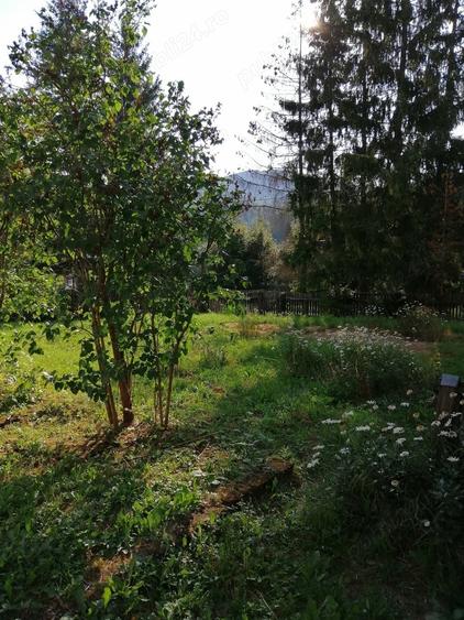 Casă cu 3 camere în Predeal